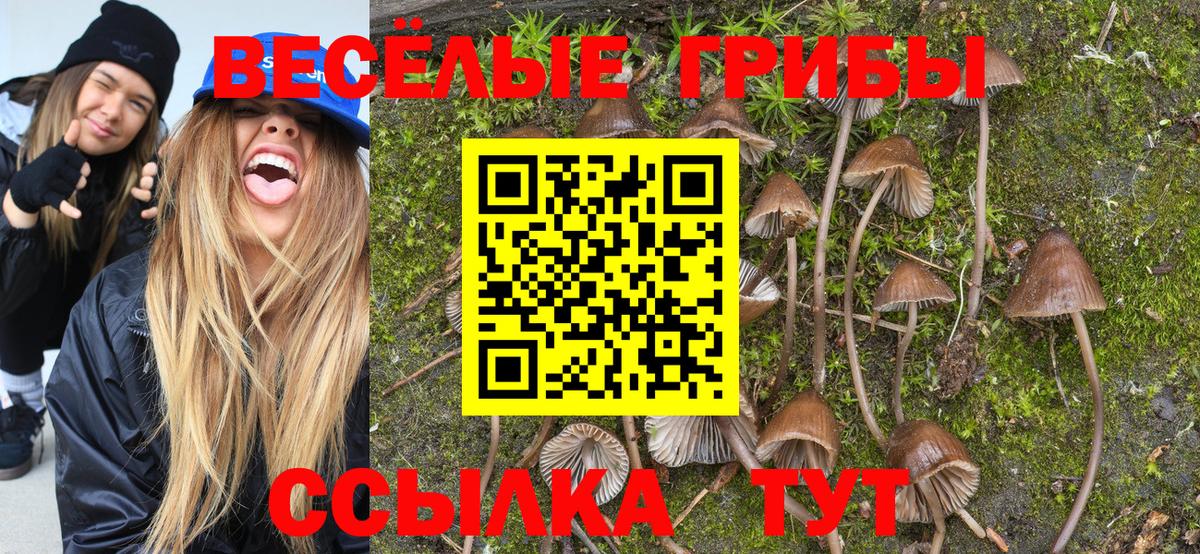 Галлюциногенные грибы GOLDEN TEACHER  Вход с VPN  Балахна 