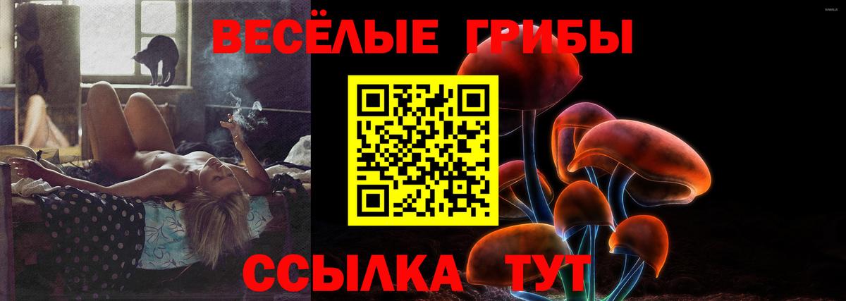 Галлюциногенные грибы GOLDEN TEACHER Балахна